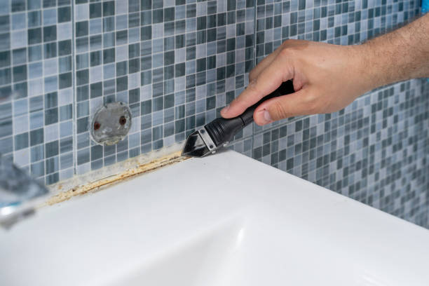 Best Water Damage Restoration  in Lansing, IL